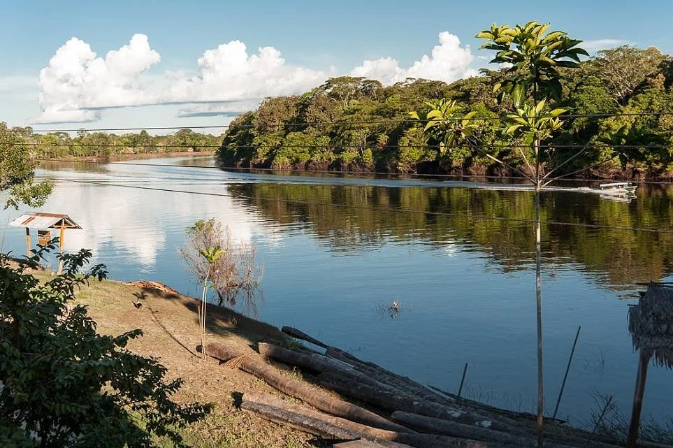 Amazonas Jungle Tours Operator