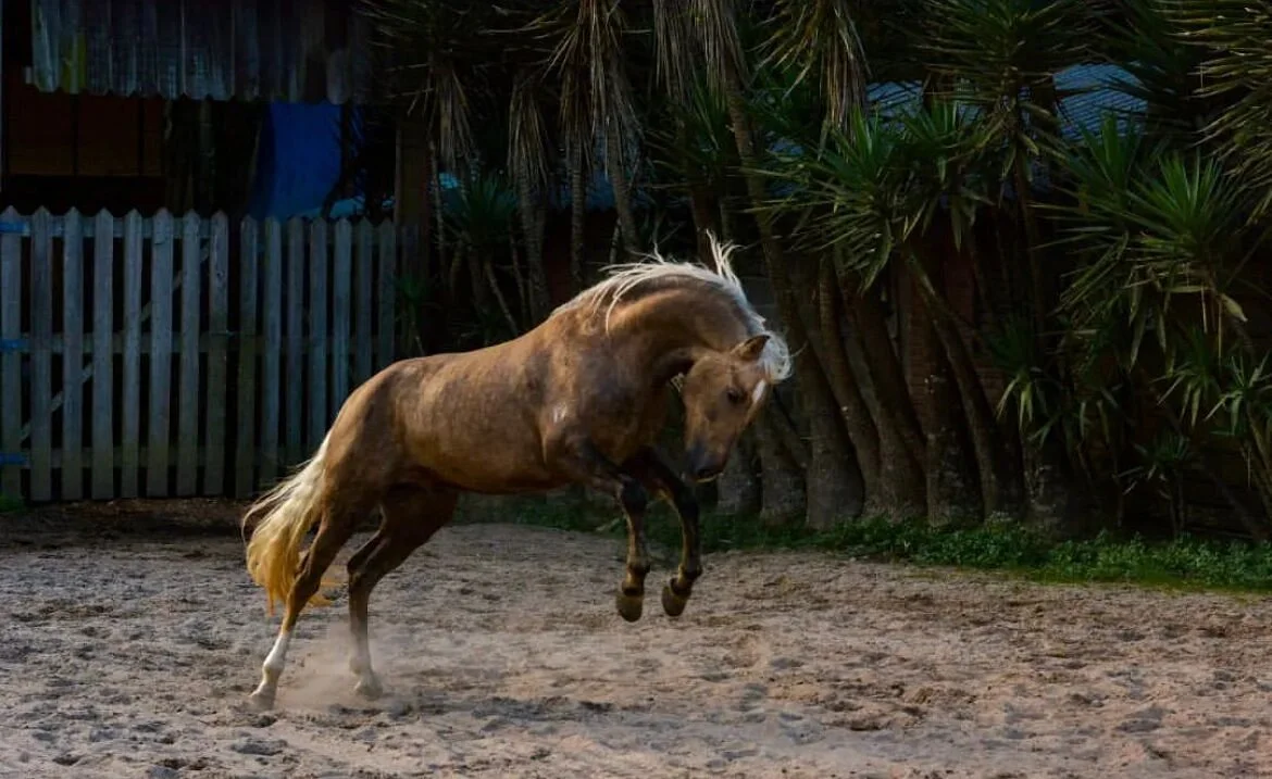 Rancho do Tinho