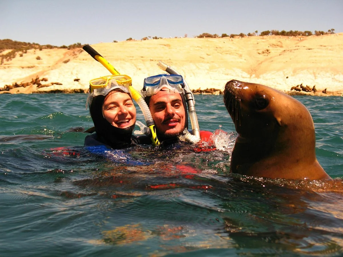 Master Divers Patagonia