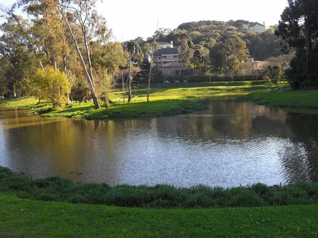 Parque Tingui