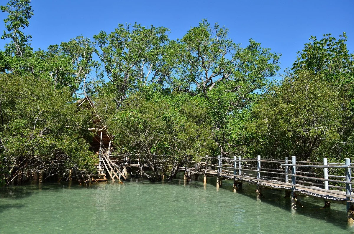 Suyac Island Mangrove Eco-Park