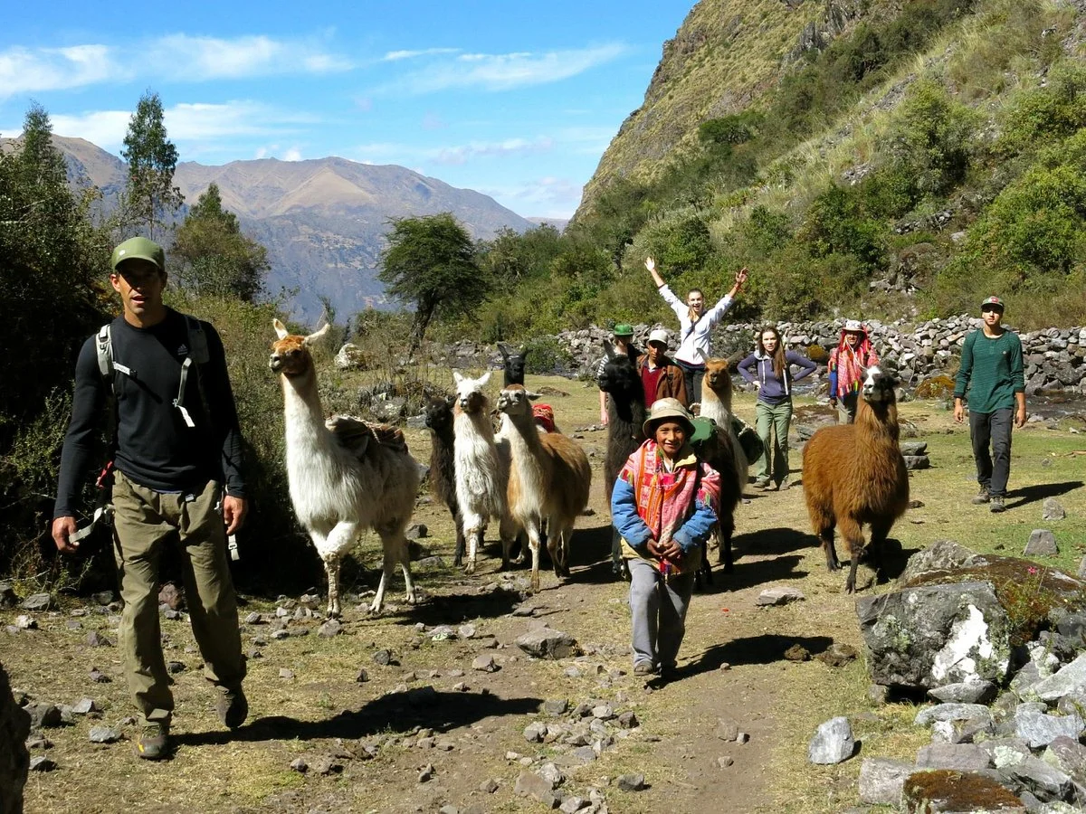 Llama Pack - Day Tours