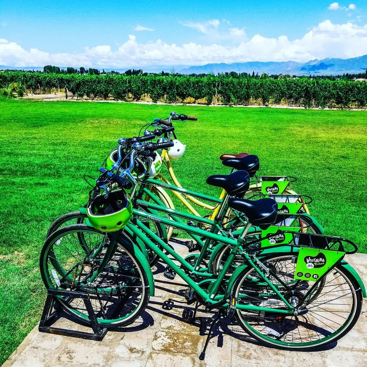 Vistalba Bikes