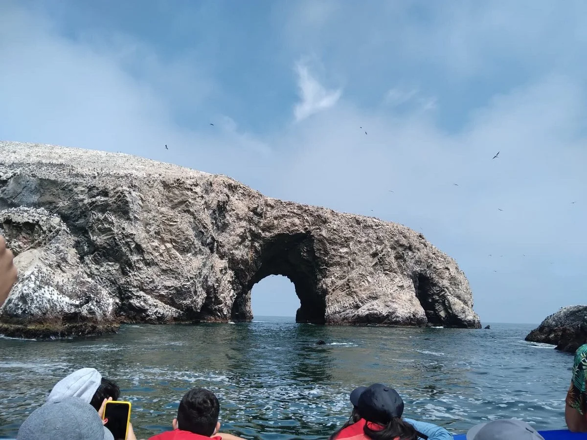 Viajes Paracas