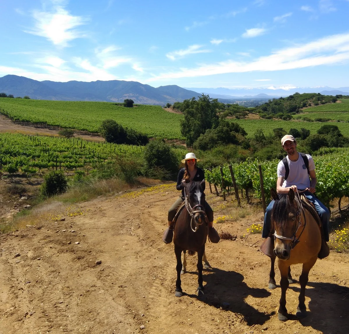Natural Wine Tours