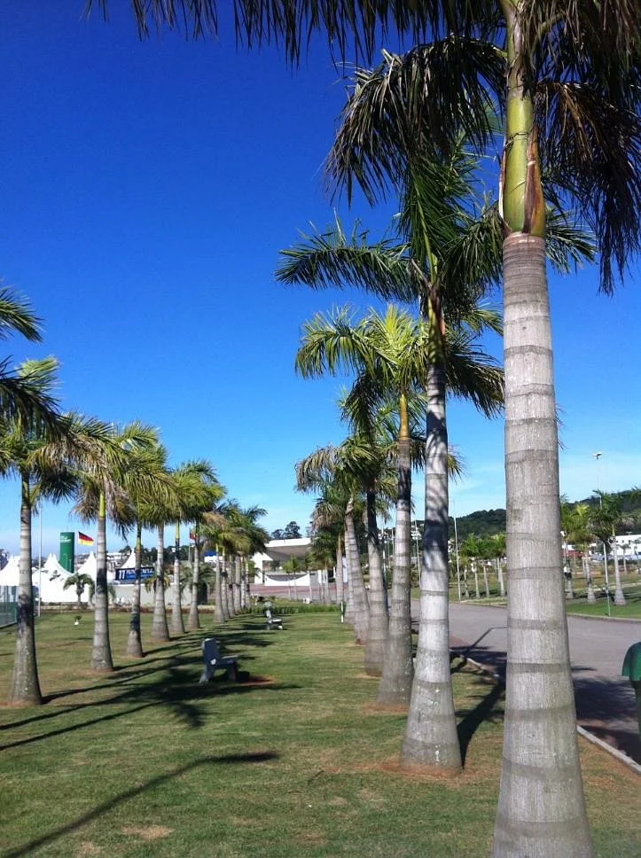 Parque das Nações Cincinato Naspolini