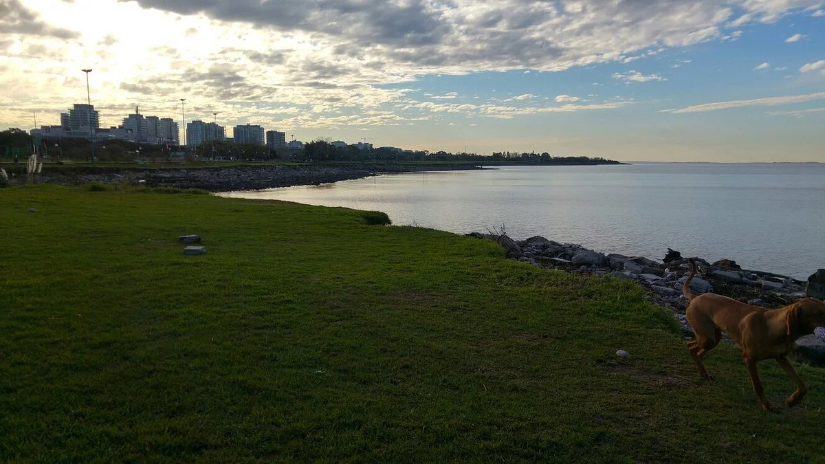 Paseo de la Costa