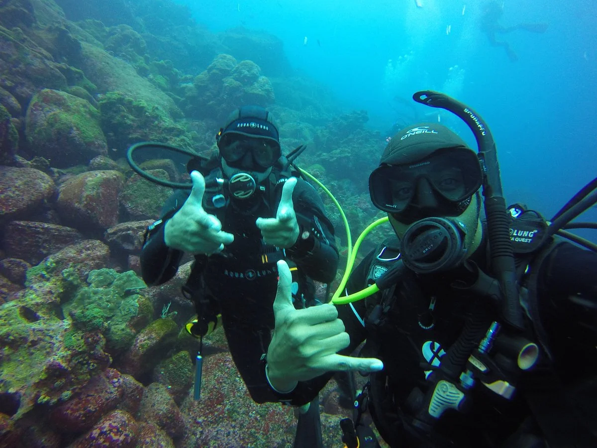 Galapagos Underwater