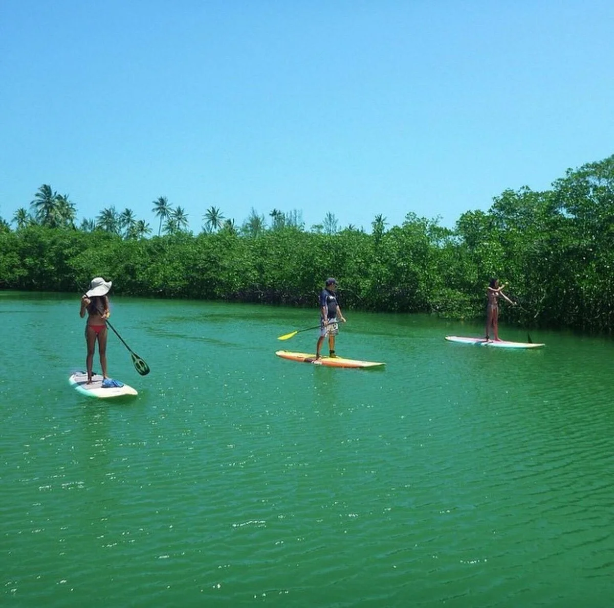 Surf'Sup