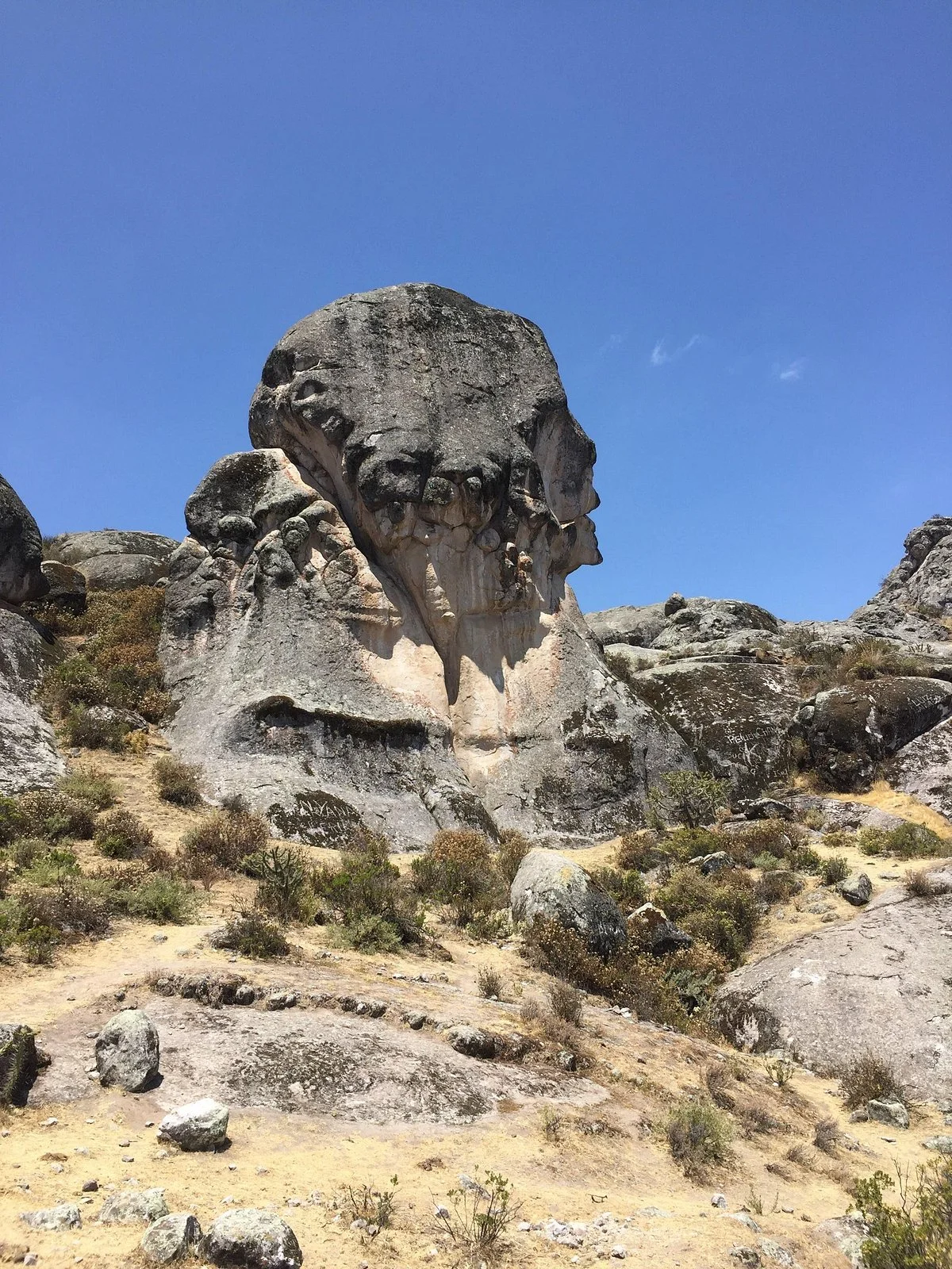 Los Cazadunas