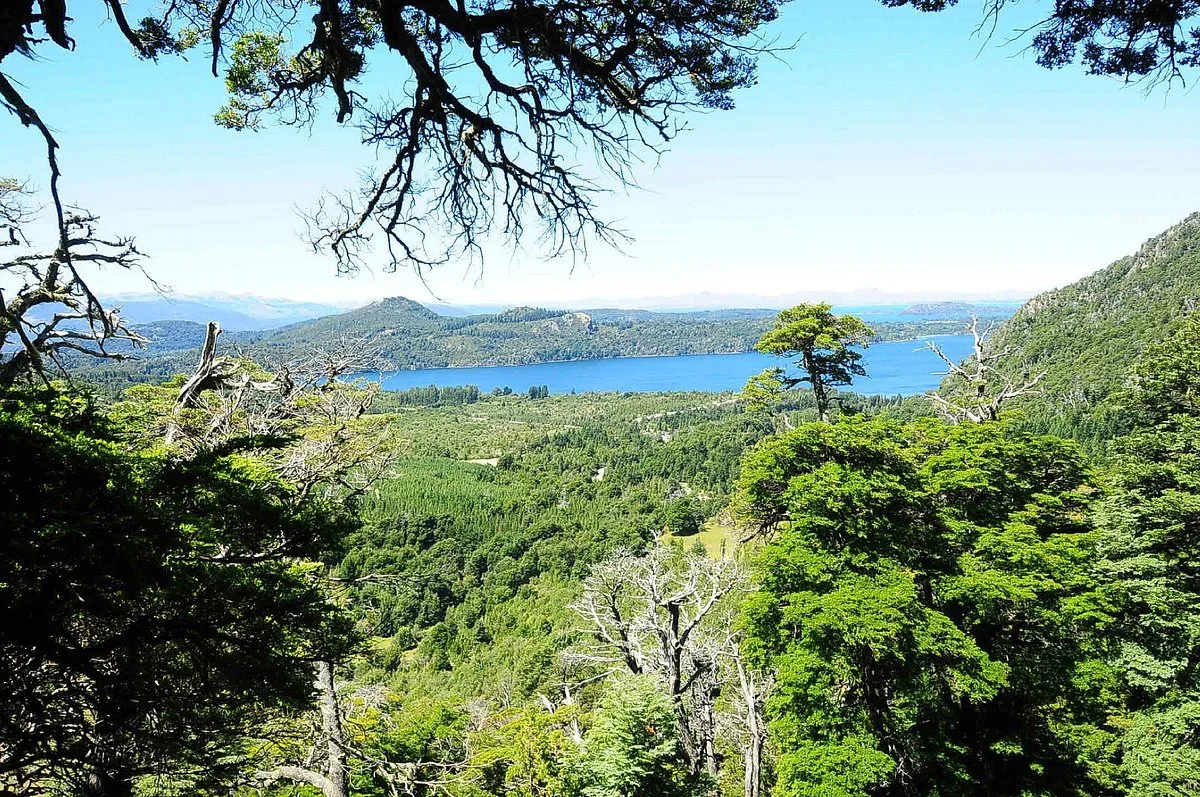 Canopy Bariloche