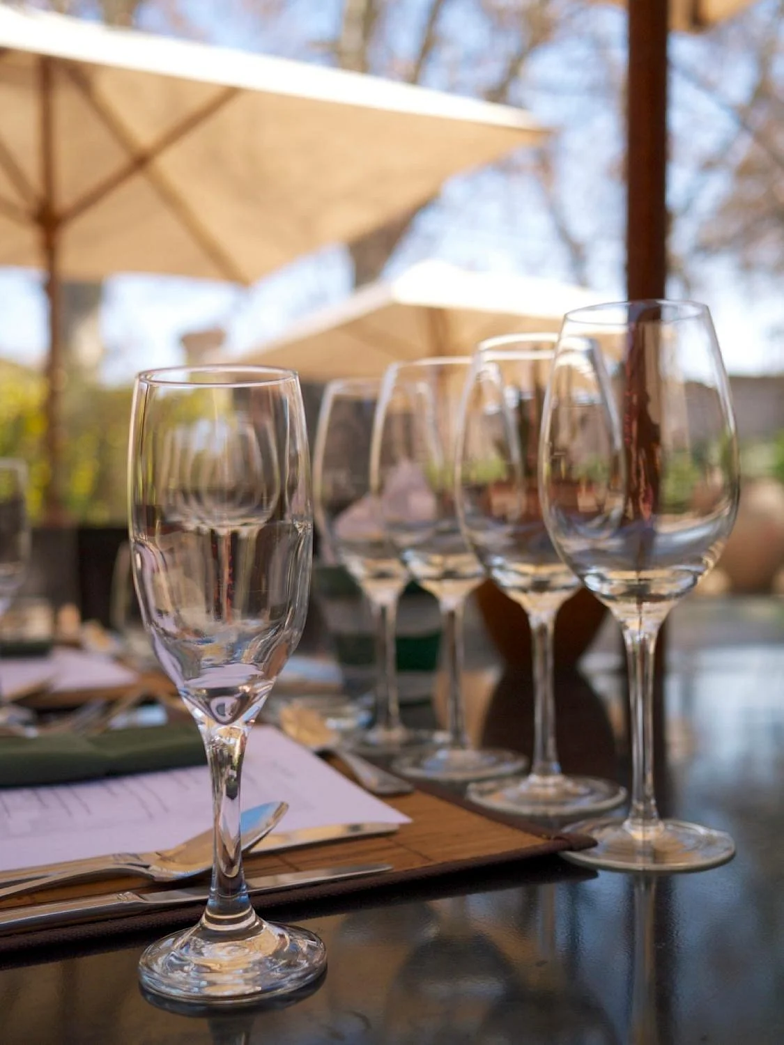 Driving Mendoza Wine Tours