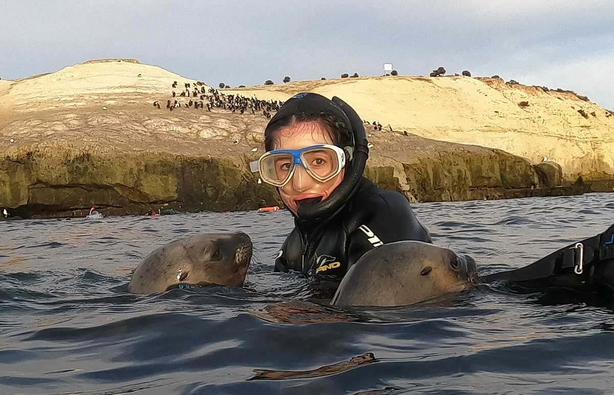 Bucea Hoy - Centro de Buceo