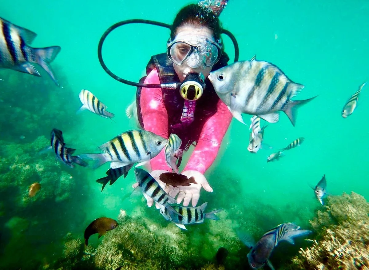 Maragotur