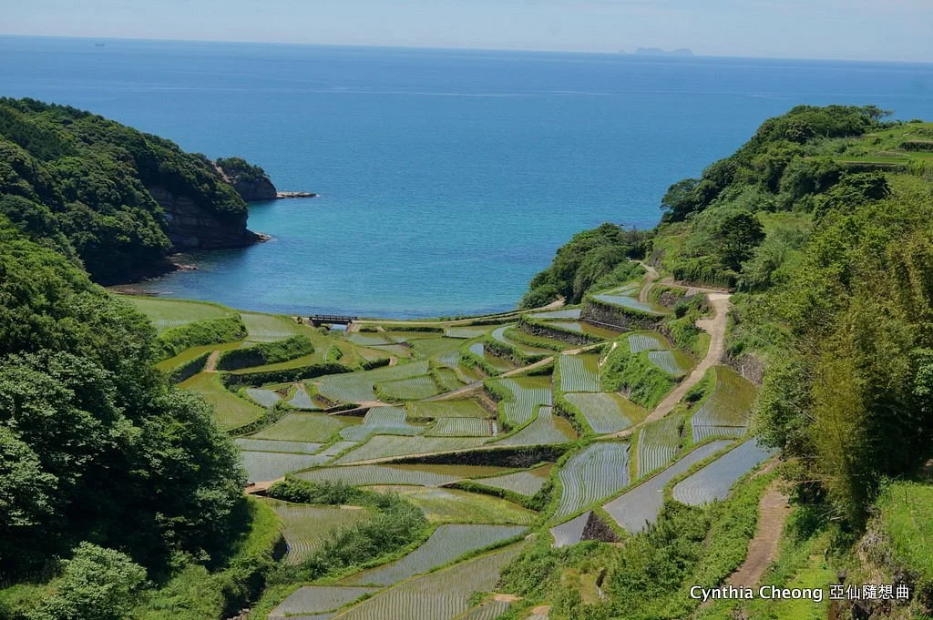 Hamanoura Rice Terrace
