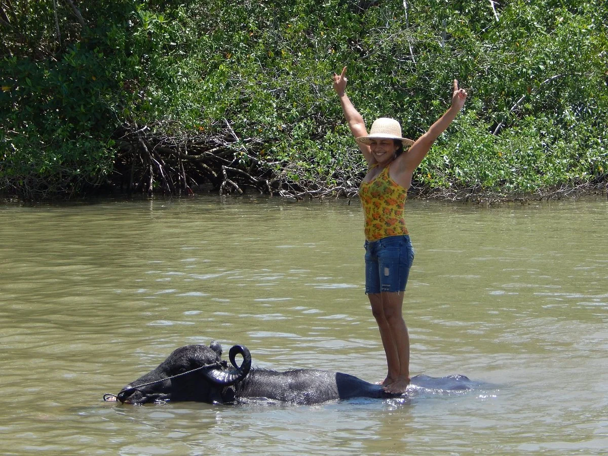 UTRAN Unidade de Turismo Rural Acai Nativo