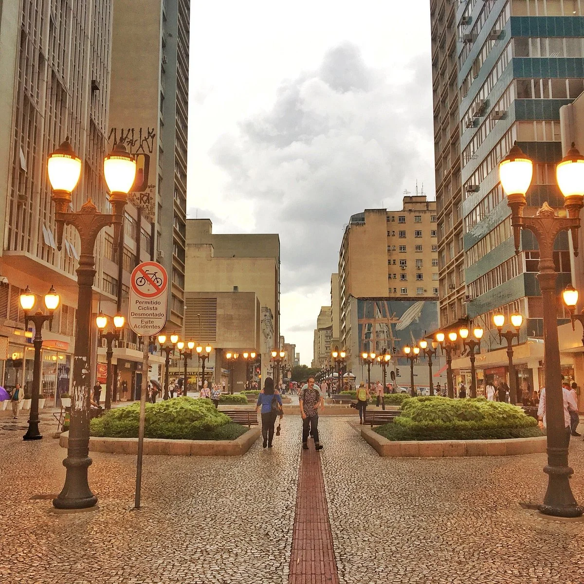 The Flowers Street