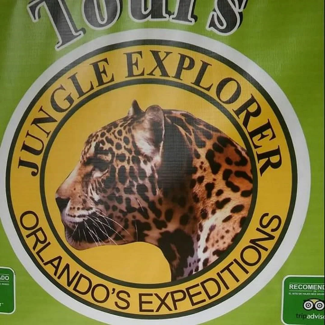 Jungle Explorer Expeditions