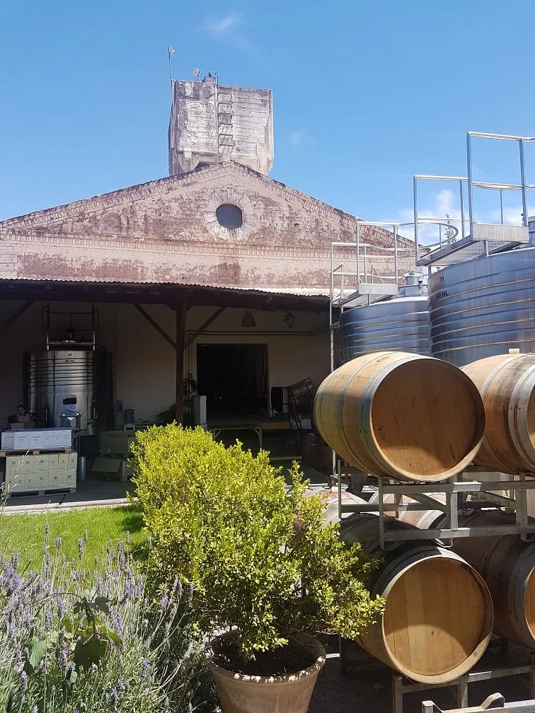Mendel Wines