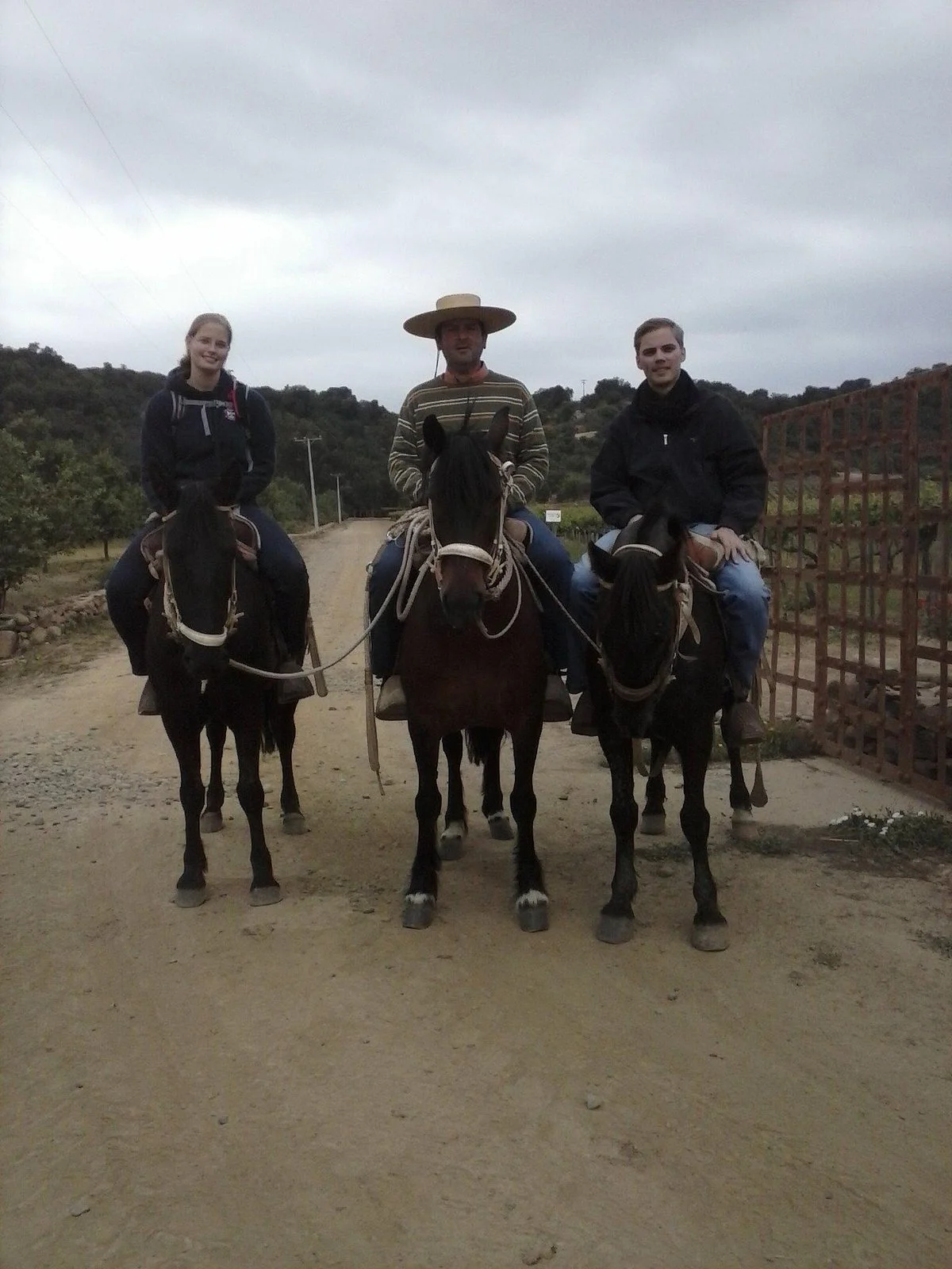 Cabalgatas Valle de Colchagua