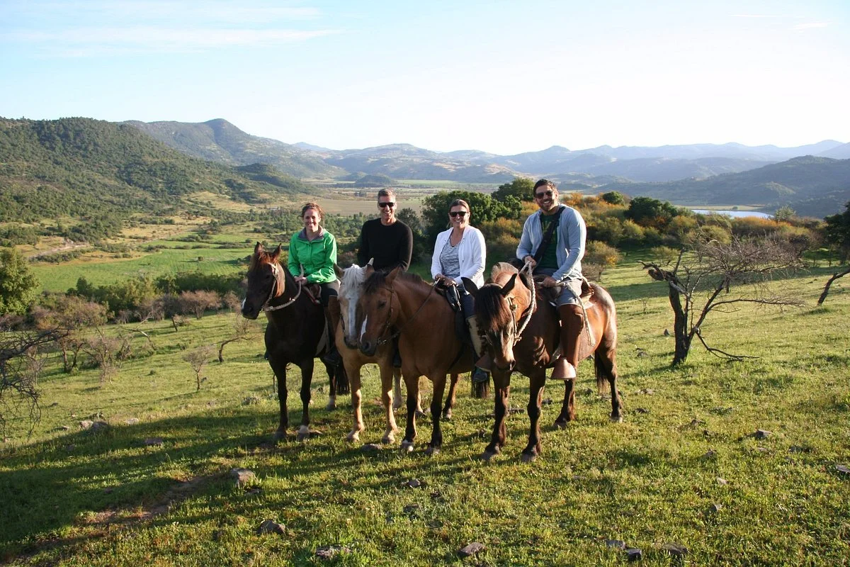 Horseback Rides Santa Cruz