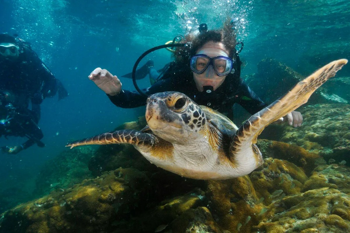 Master Dive Escola de Mergulho