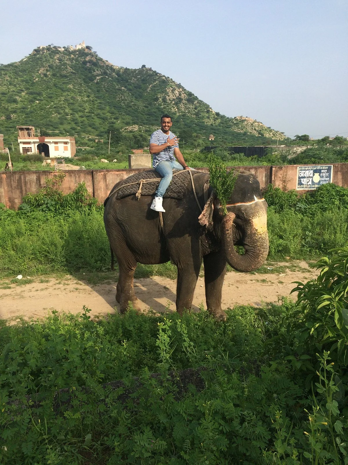 Elephant Activity Planner