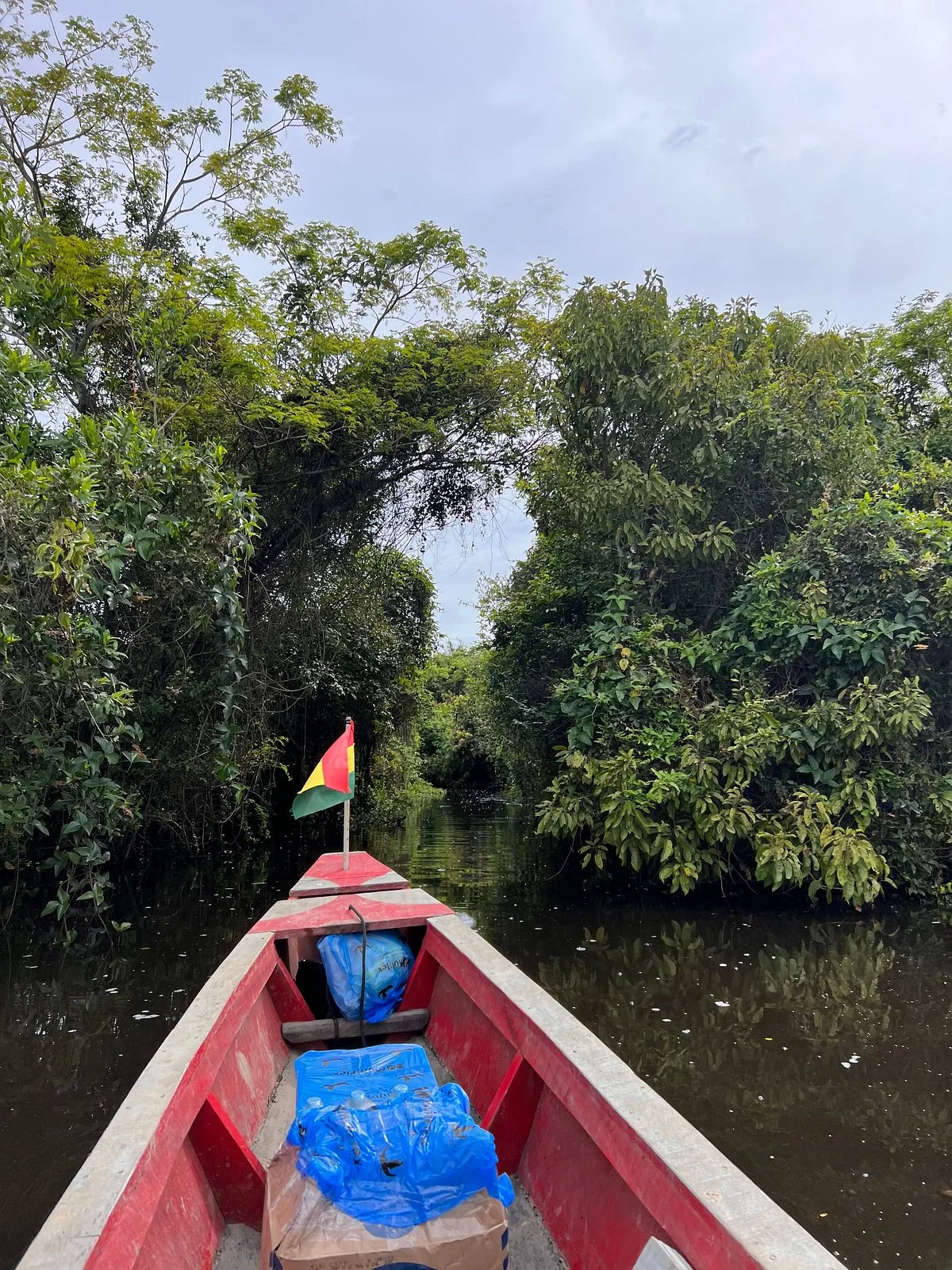 Nivardo - Jungle Boy Expeditions