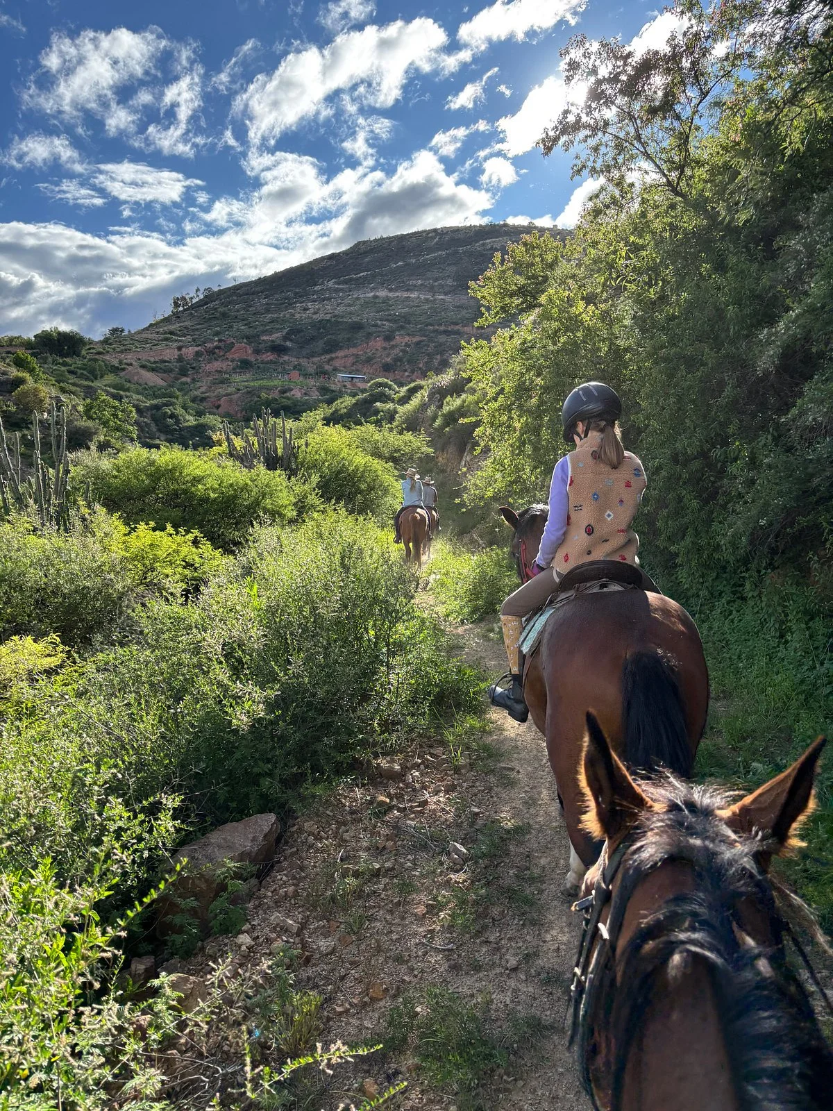 Horseback Riding Sucre