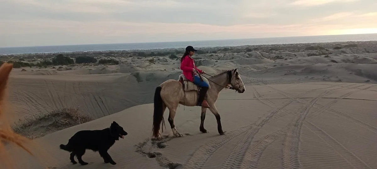Ritoque Expeditions