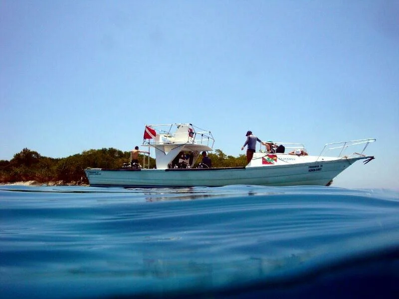 Frogman Dive Center