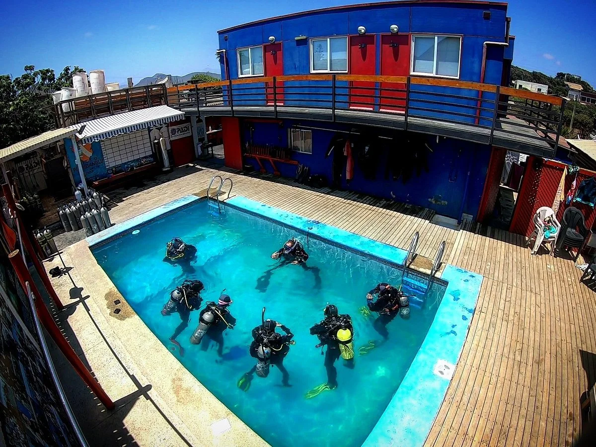 Buceo Pichidangui Dive Center