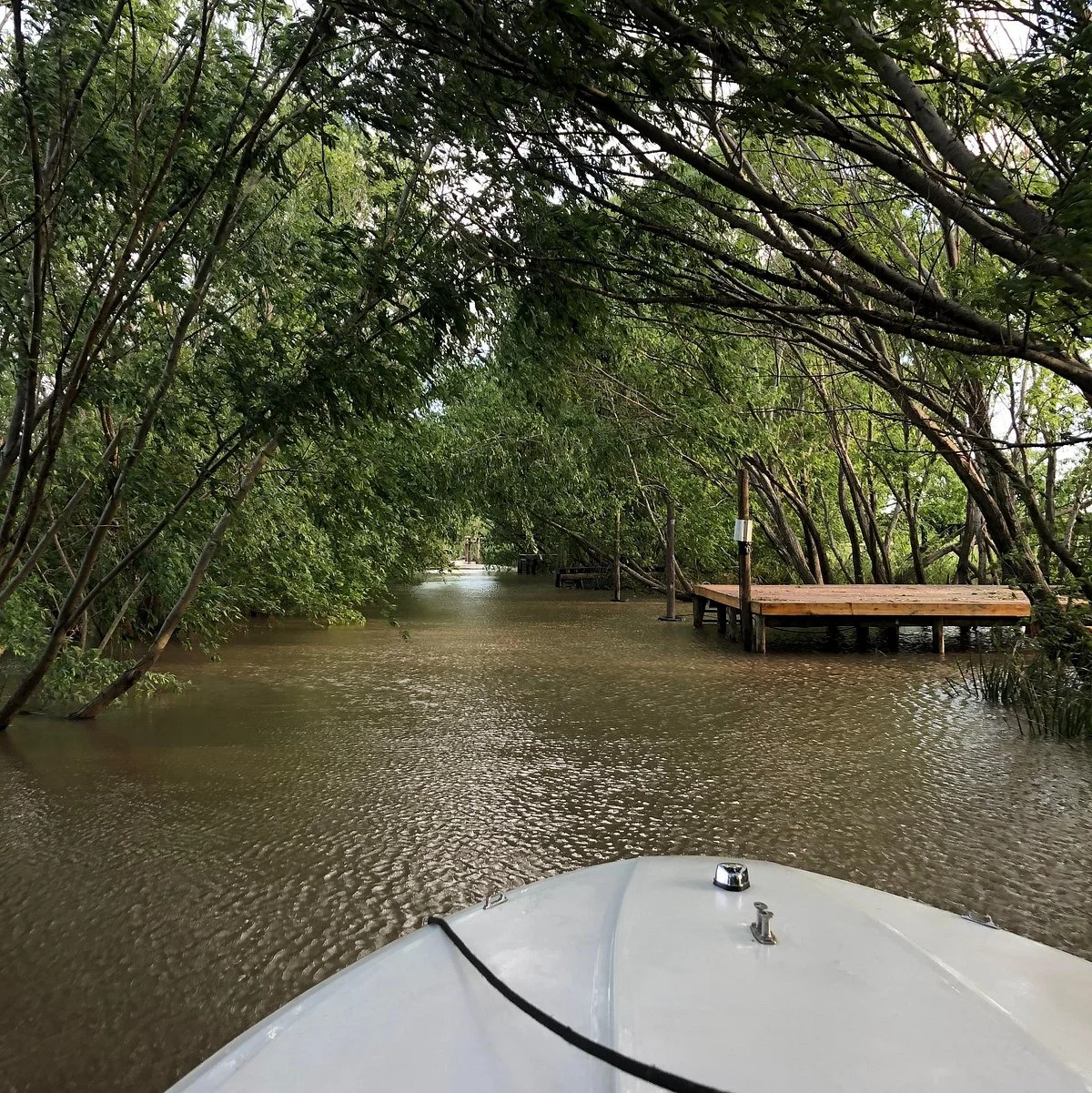 Delta Natural Tours