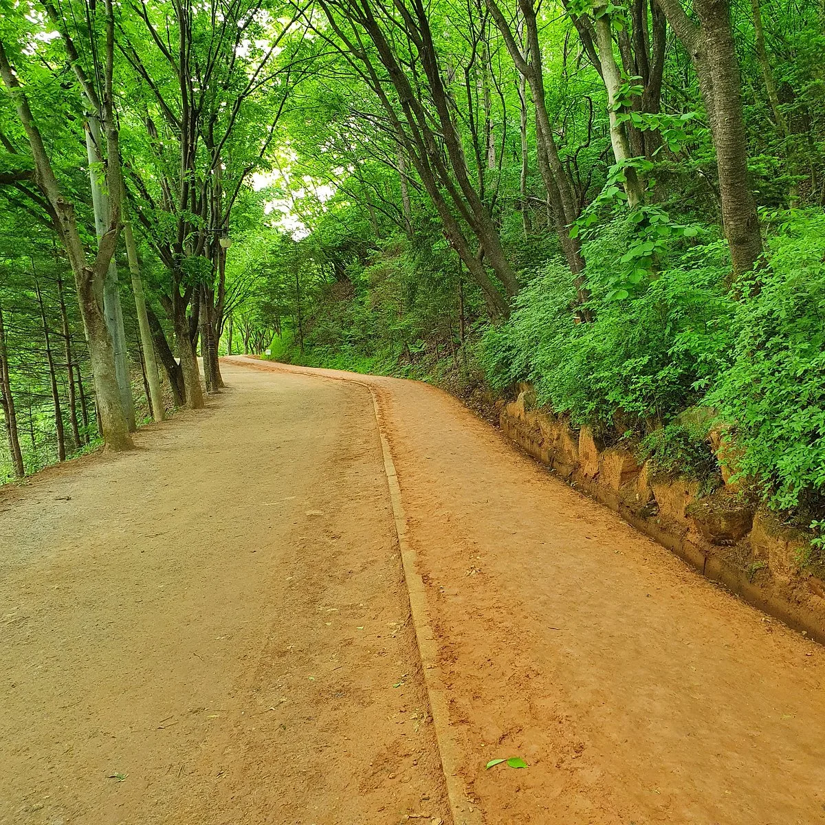 Gyejoksan Mountain Red Clay Trail