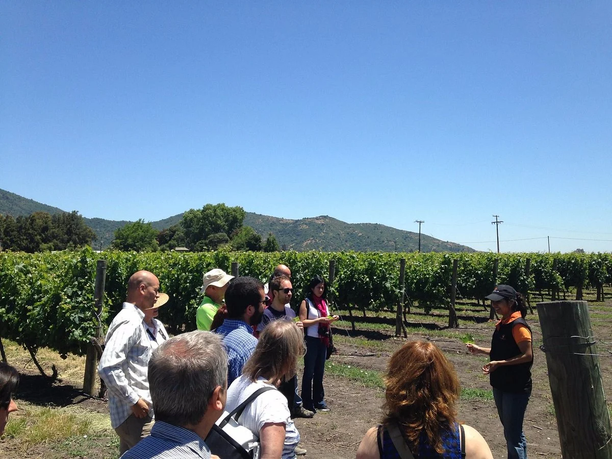 Ruta Del Vino Valle De Colchagua