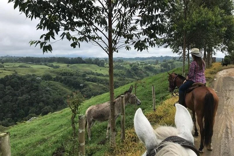 Steel Horse Colombia