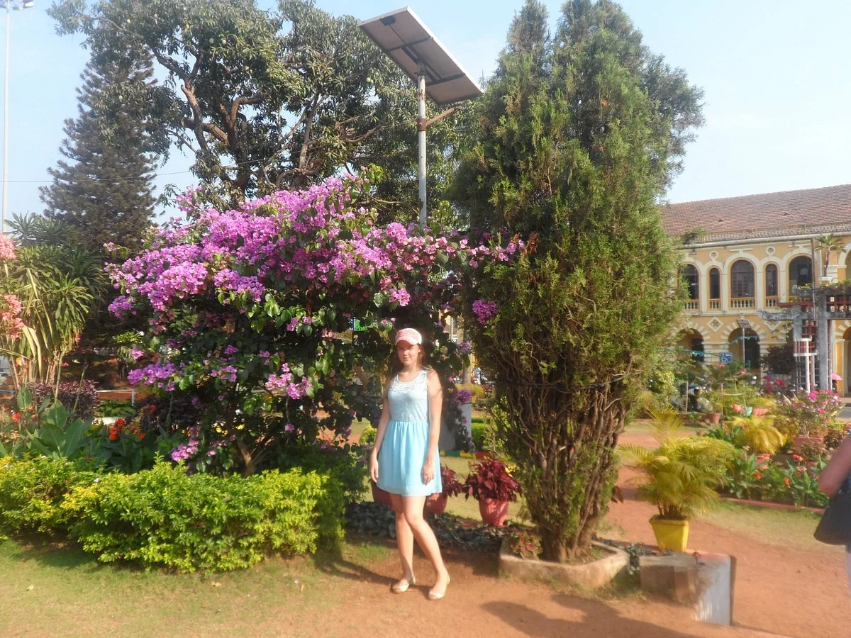 Jorge Barreto Park