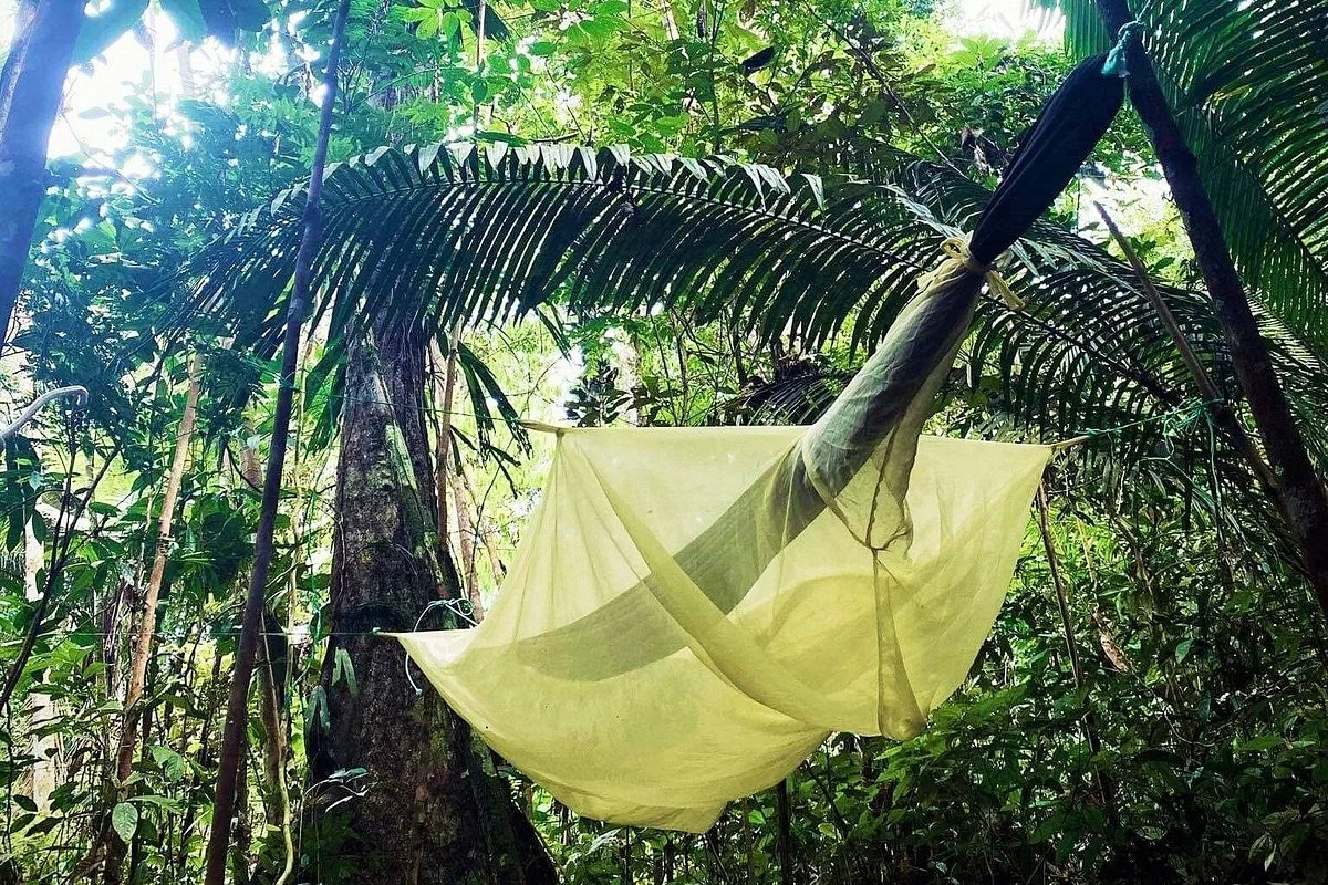 Amazon Jungle Tours  🇨🇴 - Into the Wild