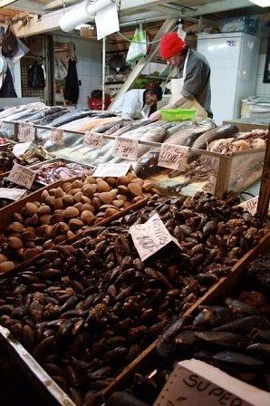 FoodyChile