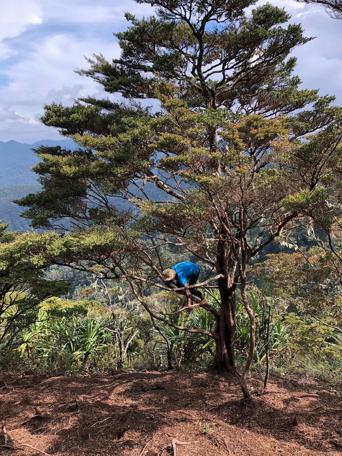 Mount Sibuatan