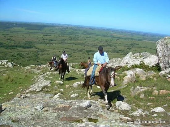 Caballos De Luz