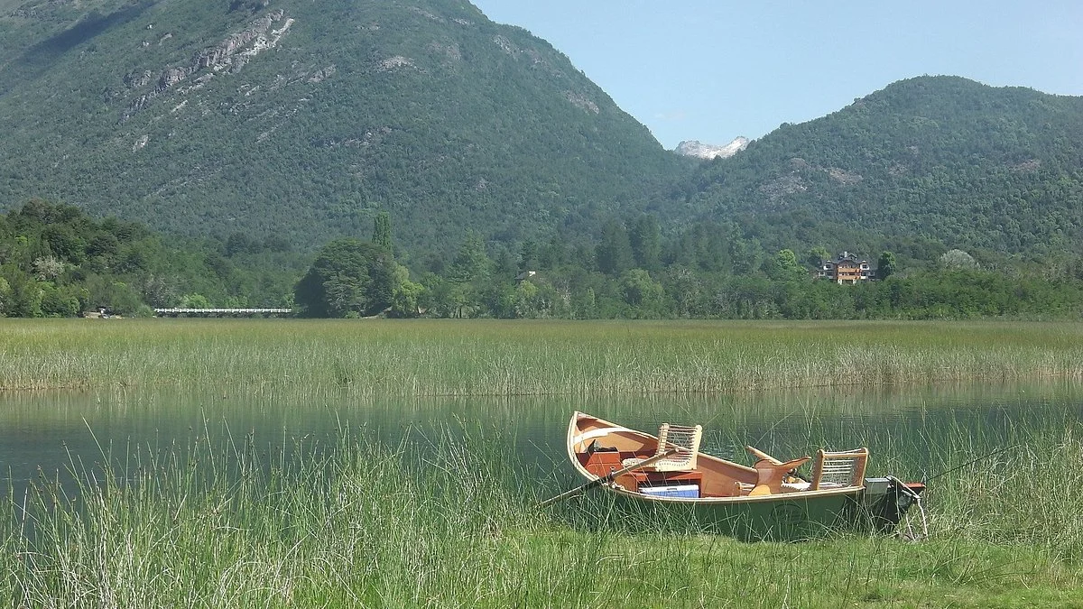 Massive Trout Fly Fishing