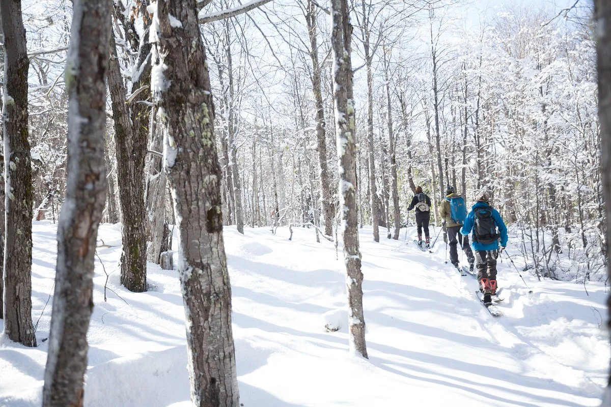 APEX Backcountry Guides
