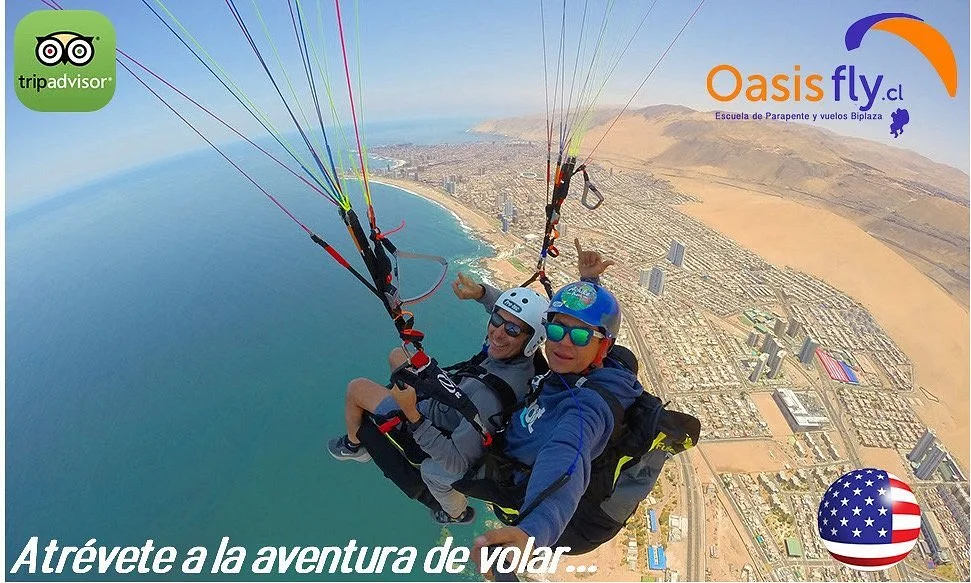 Oasisfly