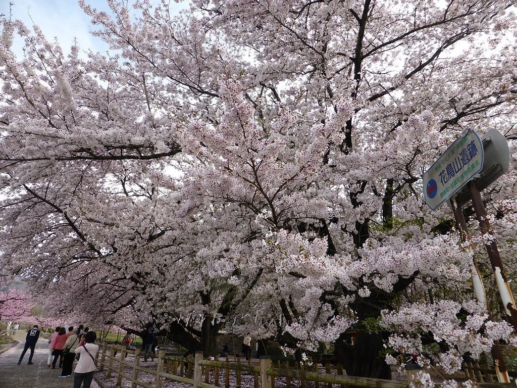 Mt. Hanatori