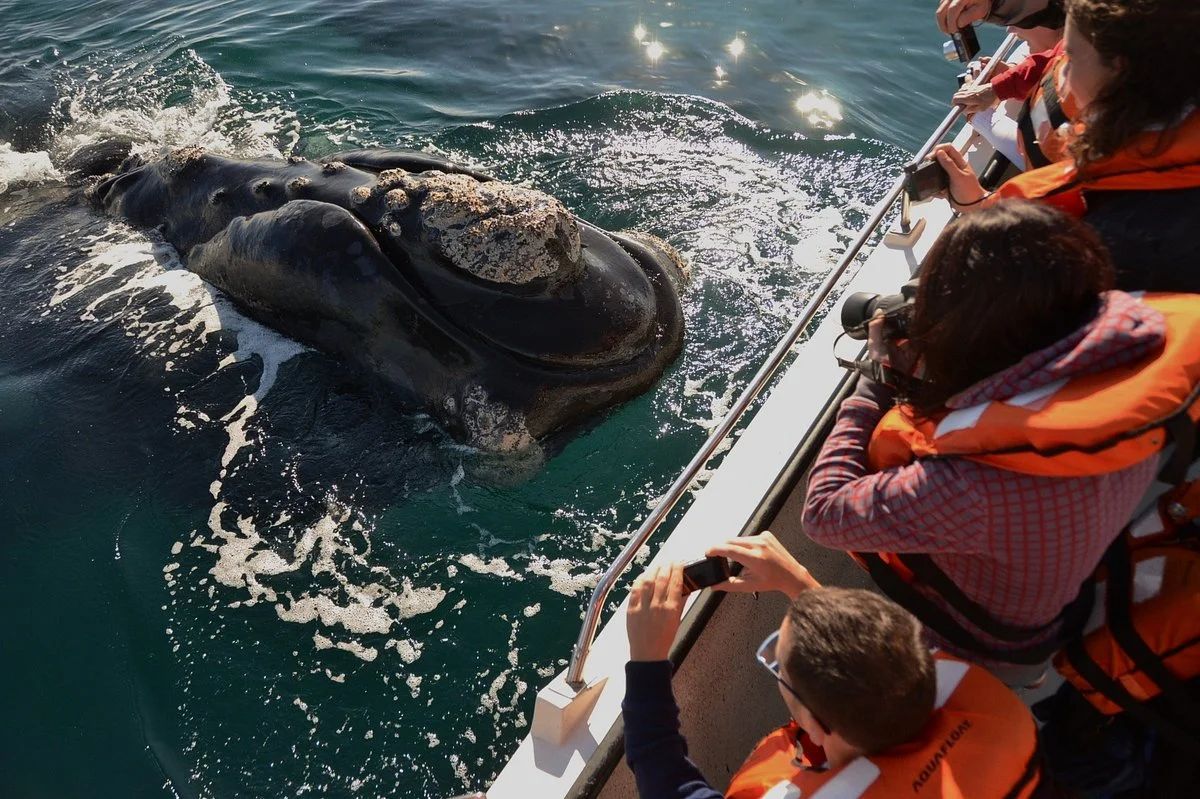 Tangol Tours Puerto Madryn
