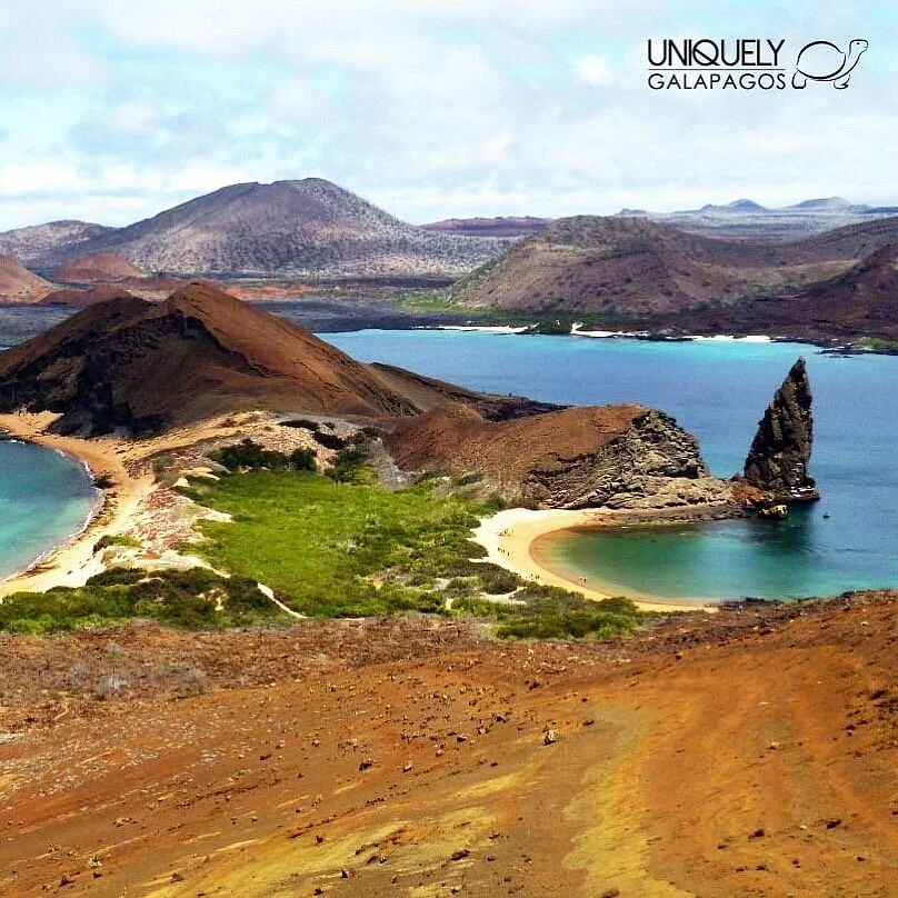 Uniquely Galapagos