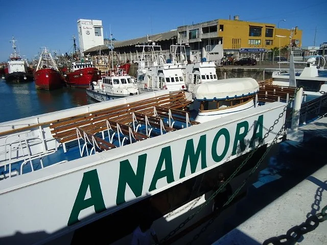 Crucero Anamora