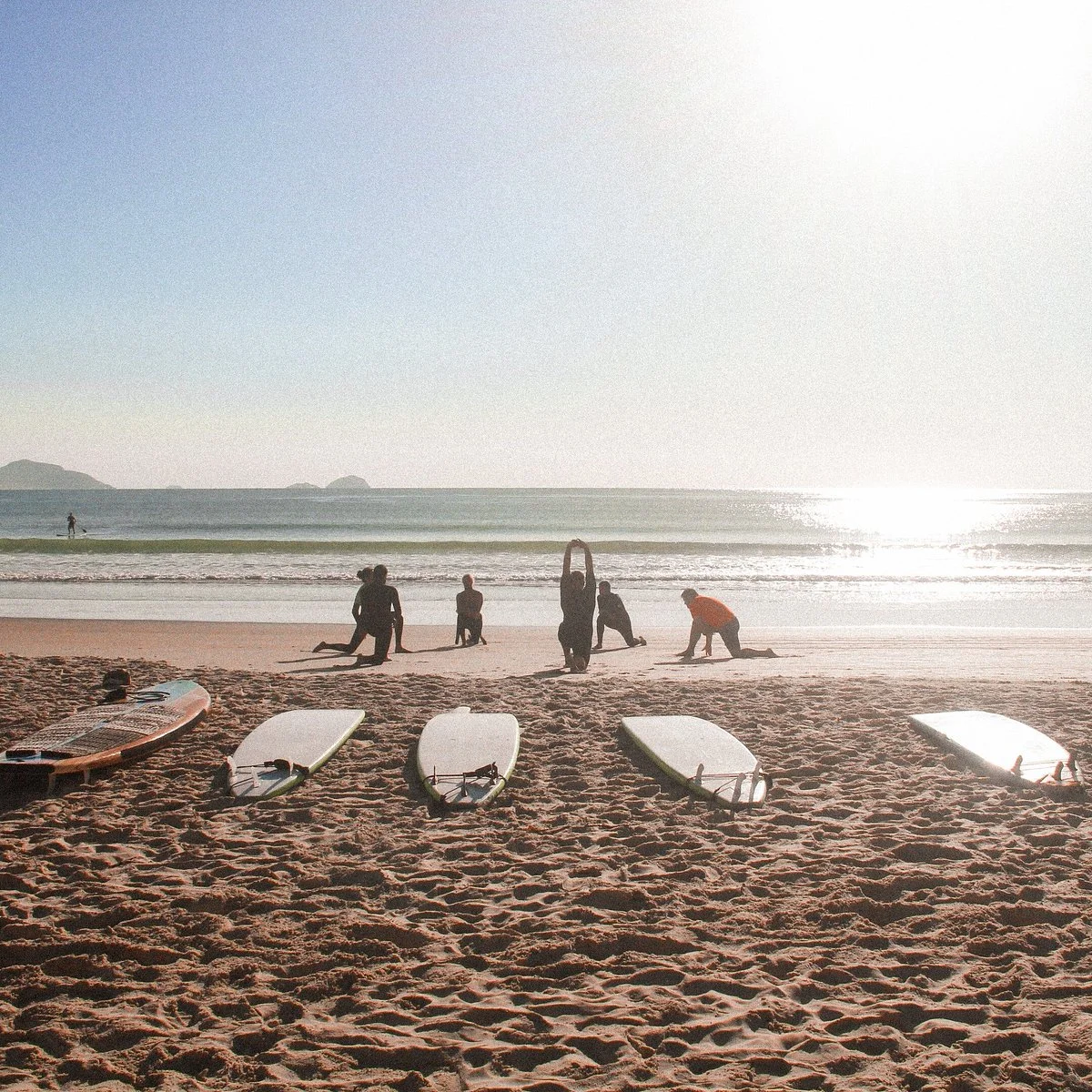 Sea Wolf Surf School