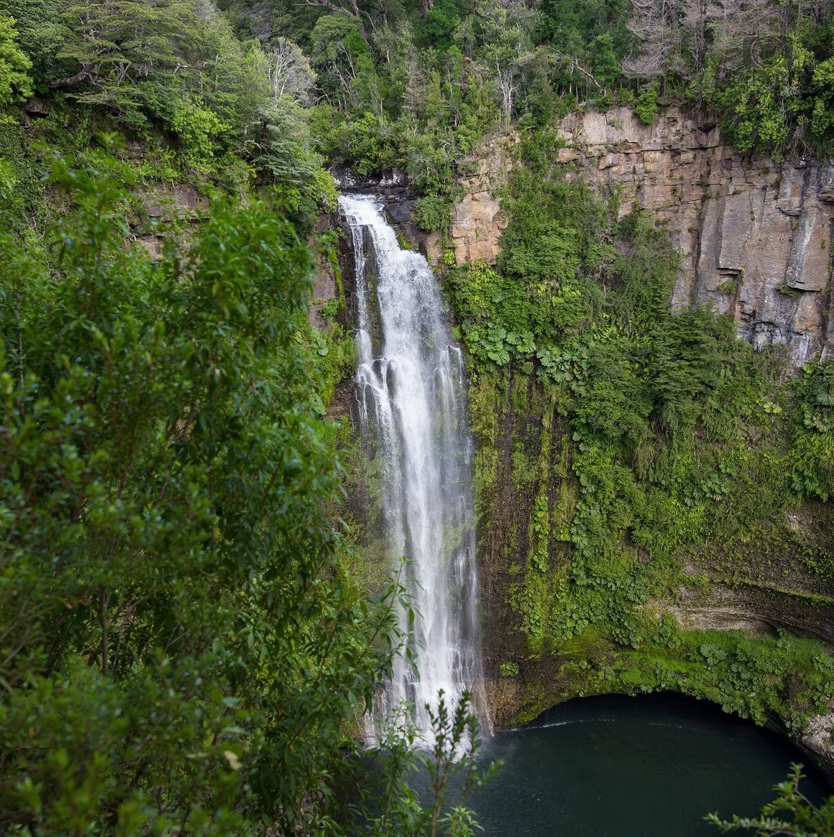 Parque Nacional Tolhuaca